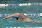 Swimming vs Babson  Wheaton College Swimming vs Babson College. - Photo By: KEITH NORDSTROM : Wheaton, Swimming, Babson